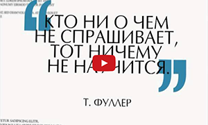 Цитаты